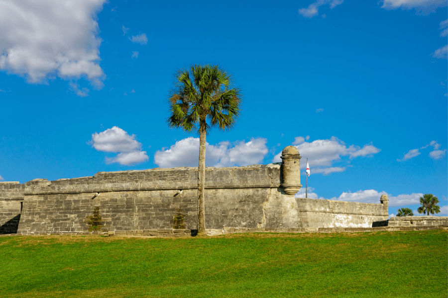 A historic fort wall stands against a bright blue sky, with a tall palm tree nearby.